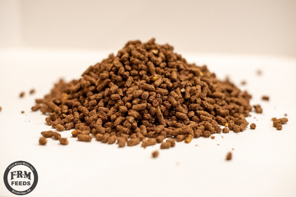 Will Deer Eat All Stock Feed