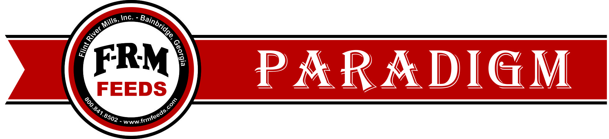 Paradigm Logo - Horizontal