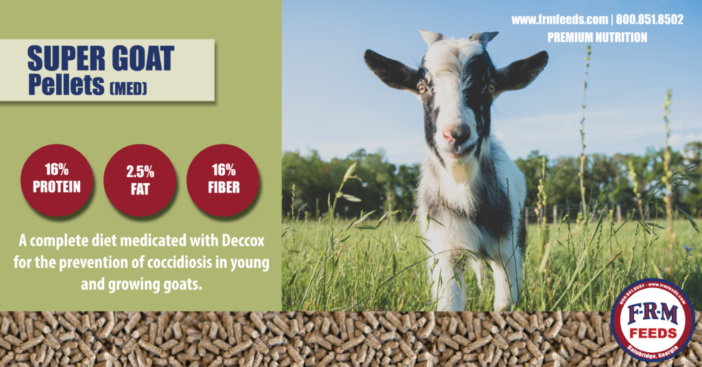 SUPER GOAT KNOWLEDGE SUPER GOAT KNOWLEDGE