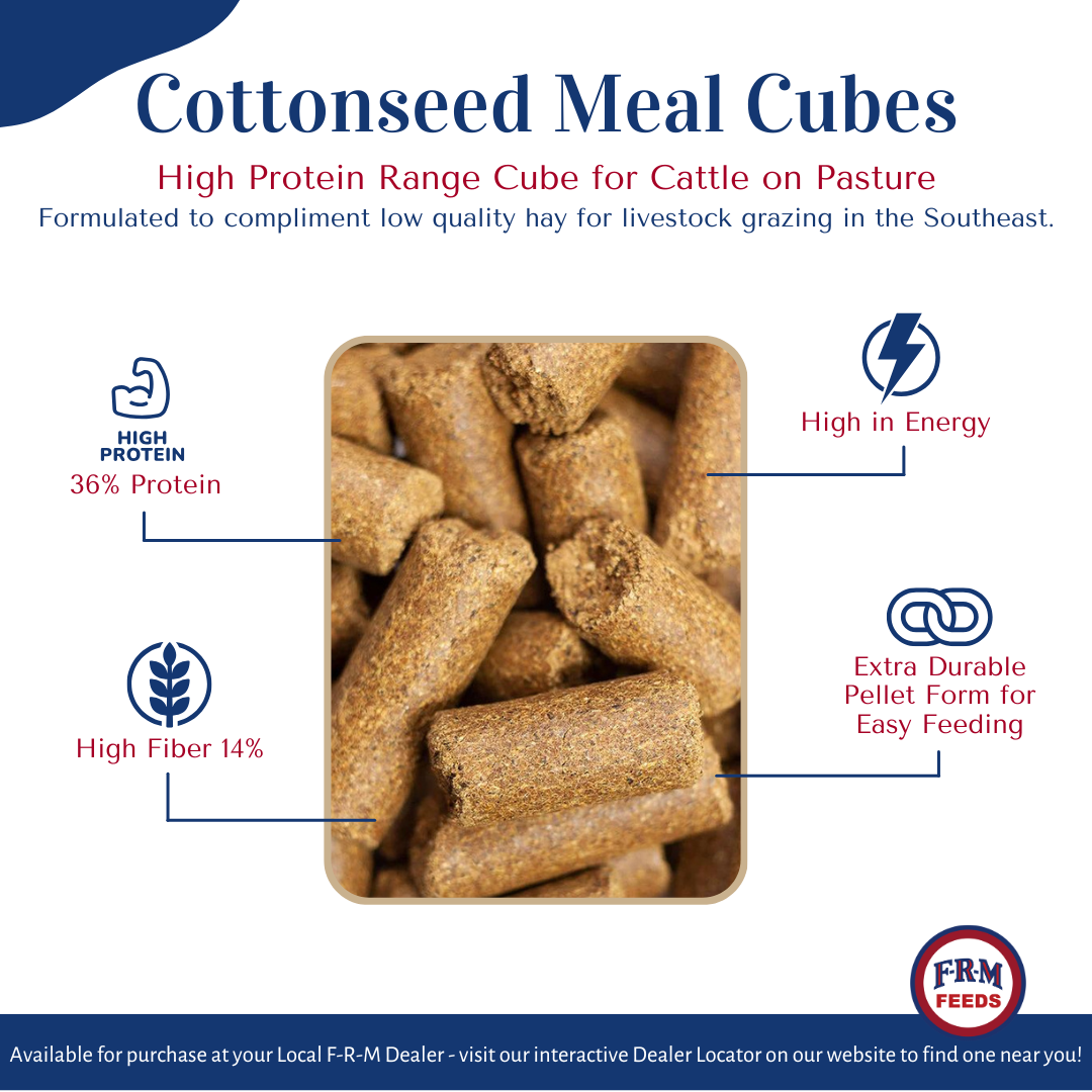 Cottonseed Meal Cubes info graphic Cottonseed Meal Cubes info graphic