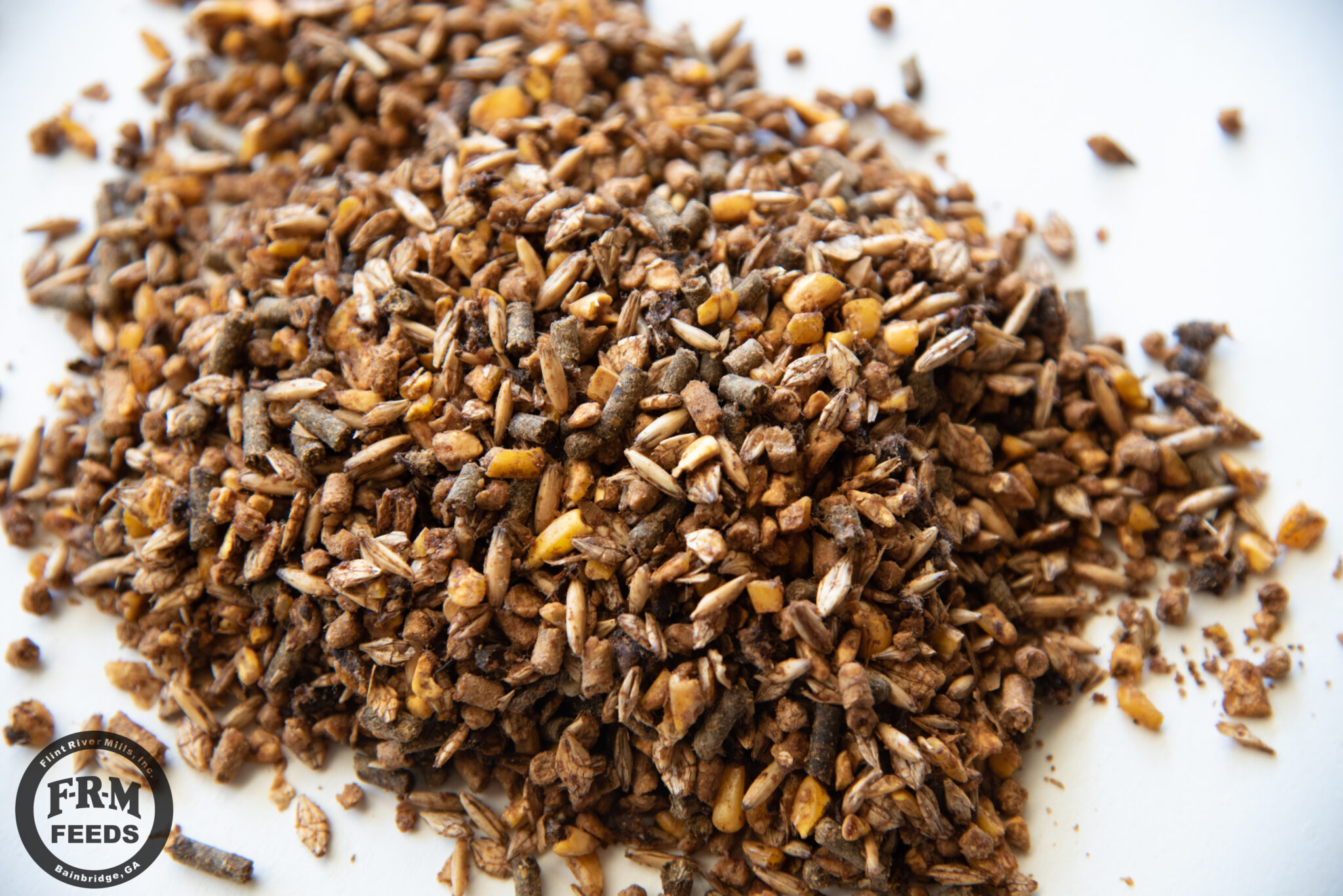 Show Gold Lamb Feed-2 Show Gold Lamb Feed-2