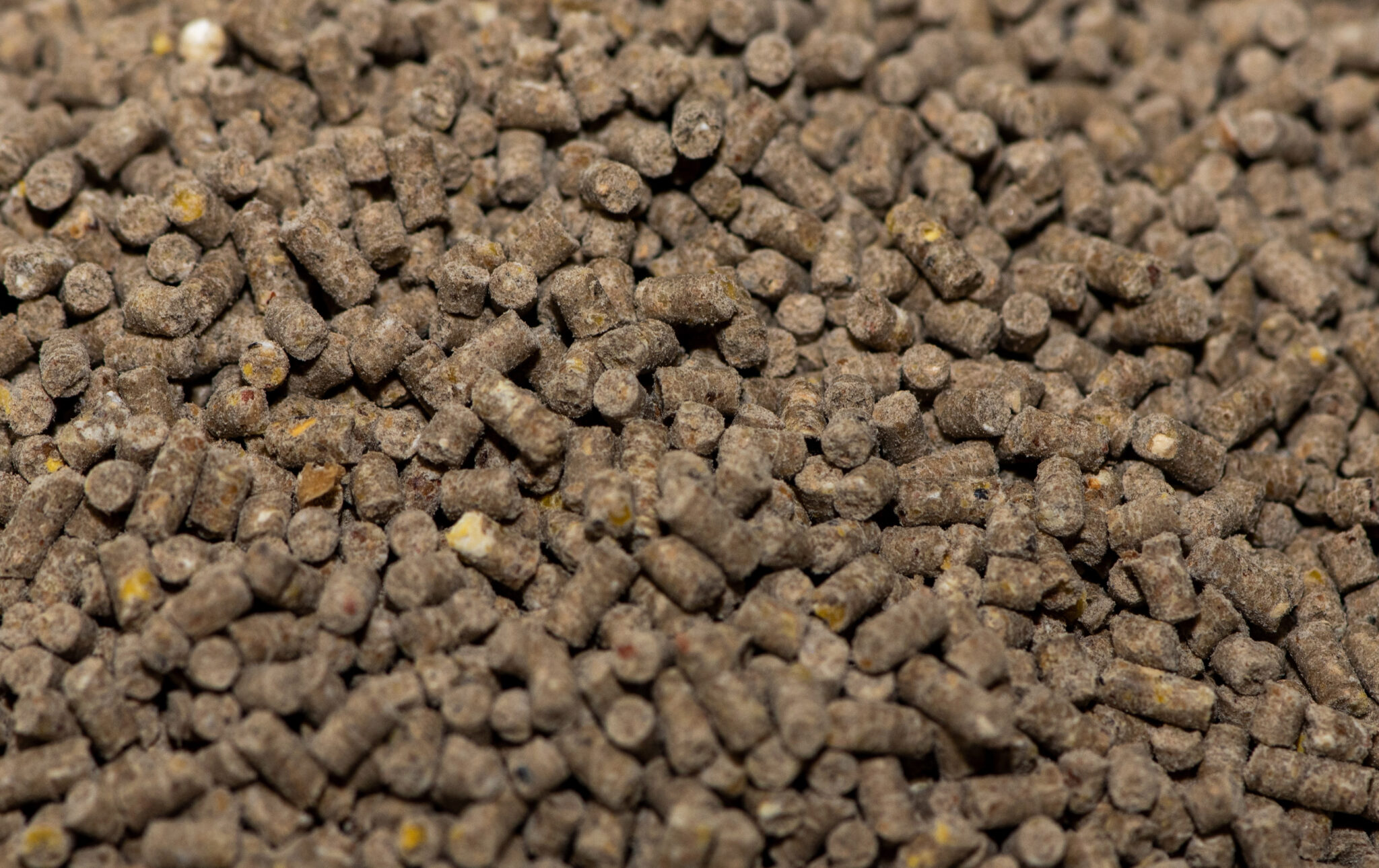 Rice Bran Pellets Rice Bran Pellets