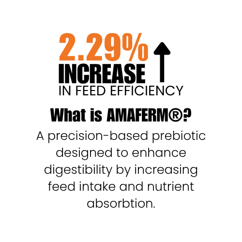 amaferm for back of poultry bags (1) amaferm for back of poultry bags (1)