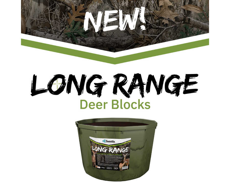 long range - new graphic long range - new graphic