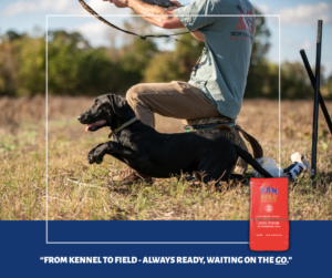 30-20 DOG FOOD FB 1 (2)